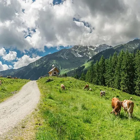 Chalet In Kitzbuehel Alps Near Hiking Trails, Cleaning Included * Wildschönau